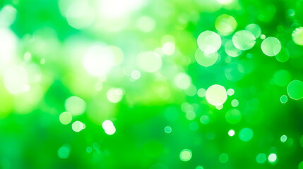 Obraz premium 緑の玉ぼけ