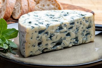 Cheese collection, piece of French blue cheese auvergne or fourme d'ambert close up with blue mold
