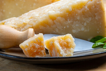 Cheese collection, hard yellow Italian cheese parmesan or parmigiano reggiano