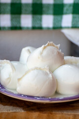 White balls of Italian soft cheese Mozzarella di Bufala Campana served with fresh green basil and red sicilian tomatoes