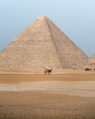 Pyramids complex of Giza, including Cheops, Chephren and Mykerinos, from a tourist transport, with horses with riders or local guides in carriages. In the background you can see one of the pyramids.