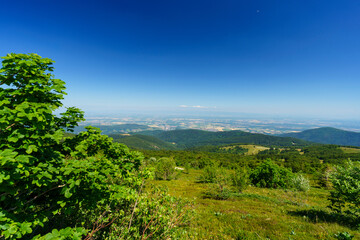 Grand ballon d'alsace en France