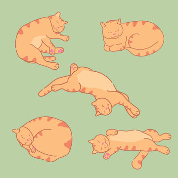 Sleeping Ginger Cat In Different Positions. Cute Red Tabby Cat Sleeps. Sleepy Cat Set. Vector Illustration