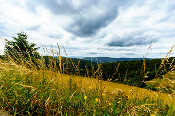 Paysage Autour de Gérardmer en été.  