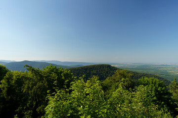 Paysage autour de Mont Saint Odile