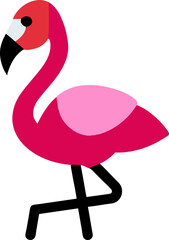 pink flamingo bird