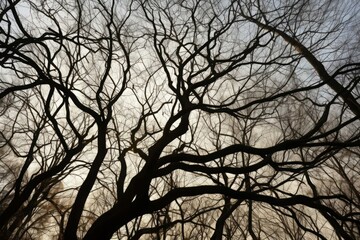 Leafless tree branches. Generate Ai