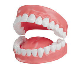 Dental arch with realistic tongue on transparent background in 3d rendering