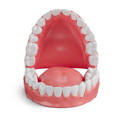 Dental arch with realistic tongue on transparent background in 3d rendering