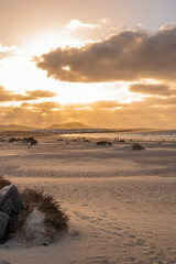 Backlight white sand beach. Golden sunset on Famara beach. Caleta de Famara village and ocean in the background. Desert plants and sand dunes. Sky with white and golden clouds.Lanzarote, canary island