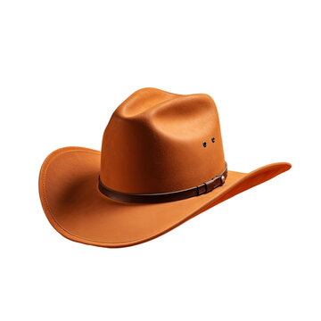 Brown cowboy hat