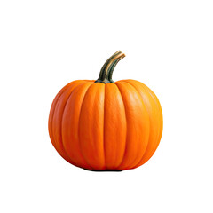 macro photo of pumpkin