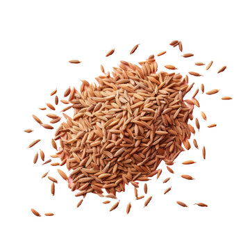 Pile of cumin seeds Top view
