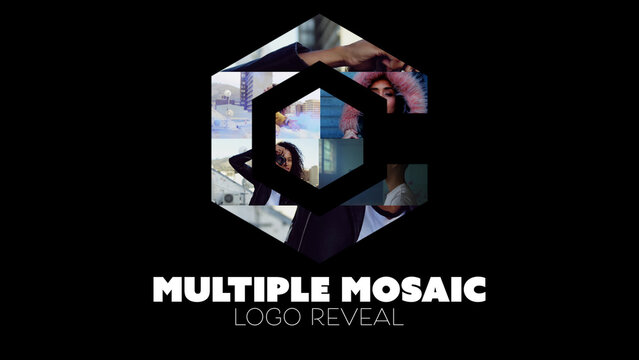 Multiple Mosaic Logo Reveal