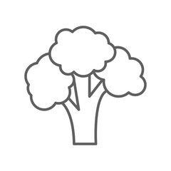 Broccoli icon. Nature vegetable organic food nutrition. Fresh healthy garden harvest. cabbage, cauliflower editable stroke outline style pictogram vector illustration design on white background
