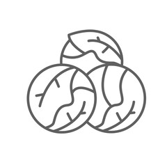 Brussels sprouts icon. Green Leaf vegetable. Cabbage nature food veggie, healthy diet vegetarian logo. Editable stroke outline style pictogram vector illustration design on white background.