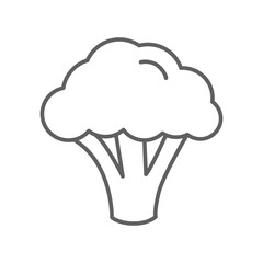 Broccoli icon. Nature vegetable organic food nutrition. Fresh healthy garden harvest. cabbage, cauliflower editable stroke outline style pictogram vector illustration design on white background