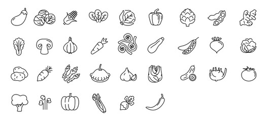 Vegetable icon set. Minimal thin line style. Outline icons collection vegetables zucchini, tomato, radish, mushroom, ginger, broccoli, corn daikon Vector illustration Design on white background