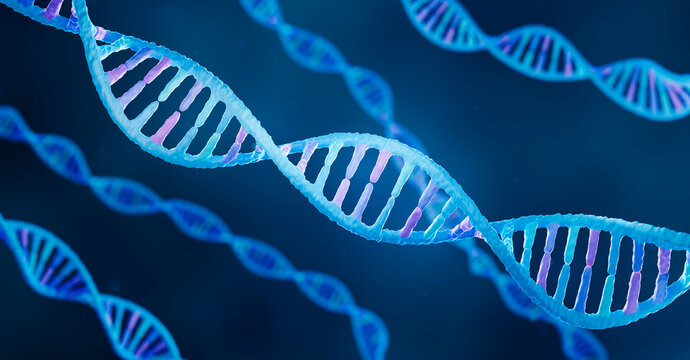 DNA with highlighted nucleotides and base pairs, Genetics concept