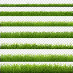 green grass background