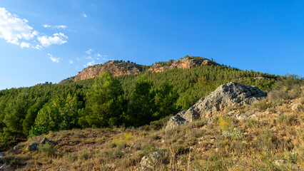 Fototapeta na wymiar View of the mountain of La Muela in Rincón de Ademuz, near the archaeological site of the town of La Celadilla on the Iberian Peninsula