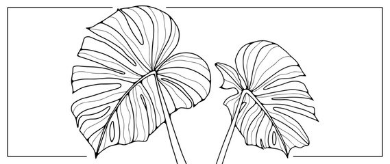 Black outline of large monstera leaves on a white background. Tropical leaves for coloring, creating various designs, patterns, covers, cards and presentations.