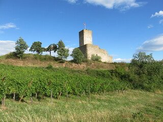 Château du Wineck, Katzenthal, Haut-Rhin, Alsace, France, Route des vins, vignoble, Monument Historique