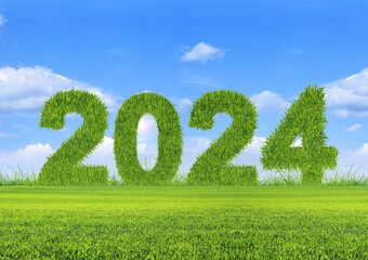 2024, en texture d'herbe sous le ciel bleu, écologie et environnement