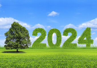 2024, en texture d'herbe sous le ciel bleu, écologie et environnement