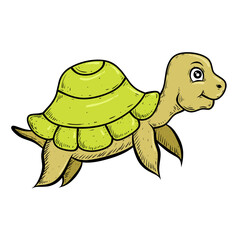 turtle cartoon
