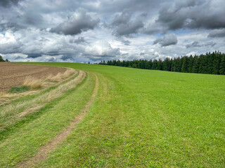 View of summer landscape with field, path, green meadow, forests and sky with dramatic clouds