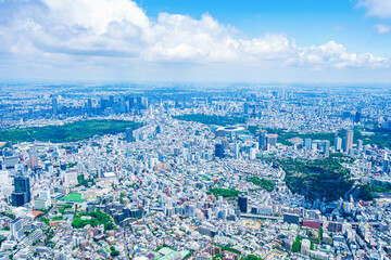 Fototapeta premium 渋谷・青山・六本木・空撮写真
