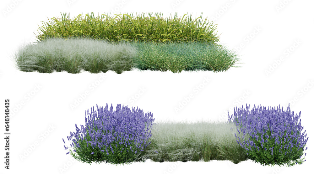 Poster realistic small garden. 3d rendering of isolated objects.