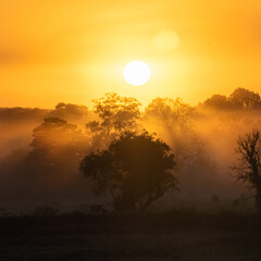 Sunrise in Ireland with light streaks