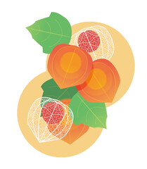 あざやかなほおずきのイラスト