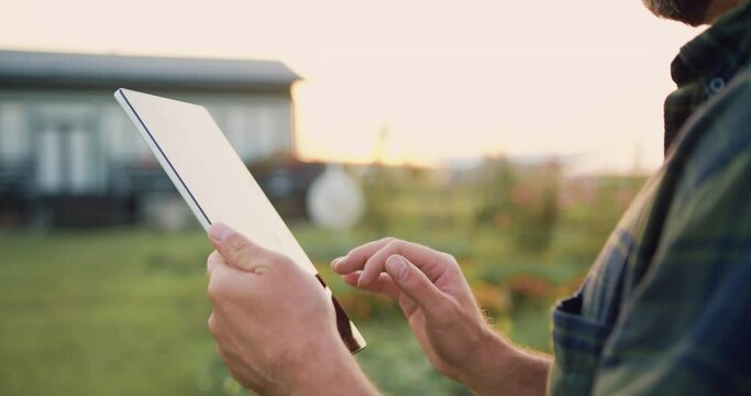 Close up of farmers hands taking notes and searches for information in tablet in agricultural field with plants in windy weather on sunset. Businessman promptly carries out online deal to sell crop.