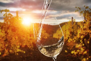 Wine glass with tasty sweet alcohol wine at vineyard