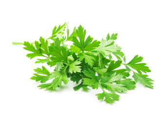 green parsley leaves isolated on white background
- 648158286
