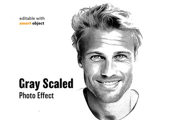 Gray Scaled Photo Effect - obrazy, fototapety, plakaty