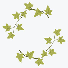 Obraz premium Floral ivy drawing decorative ornament flat design.