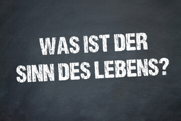 Was ist der Sinn des Lebens?	
