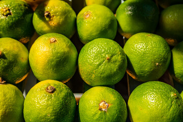 Background with lime fruits in a row