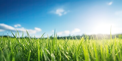 Fototapeta premium AI Generated. AI Generative. Green fresh grass field meadow with blue sky horizon background. Mock up inspirational wild outdoor nature. Beautiful chill relax countryside vibe.