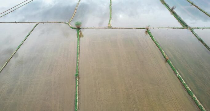 Floded agriculture rice fields for seeding, traditional method of rice cultivation, aerial shot