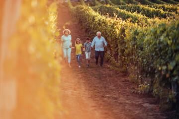 Grandparents taking their grandchildren through their vineyard