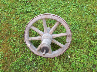 wooden wheel vintage in garden on grass