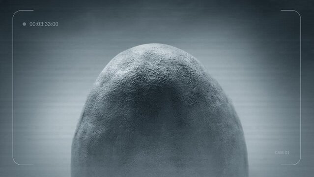 CCTV Dinosaur Egg In Cold Storage