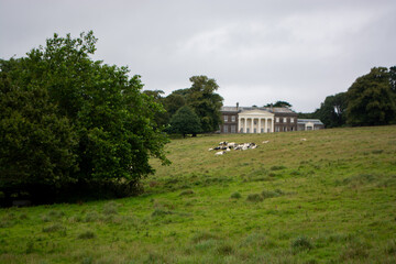 River Fal, Cornwall, UK - August 2023: View from outside Trelissick Garden to Roseland peninsula