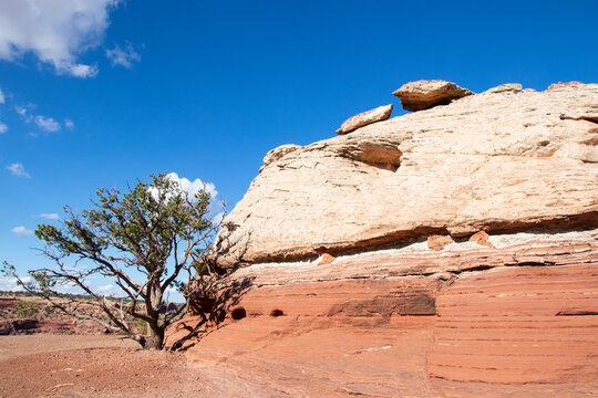 Canyonlands National Park USA Sandstone