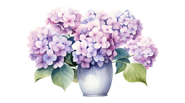 Watercolor hydrangea flowers with vase isolated on transparent background. hydrangea flower png